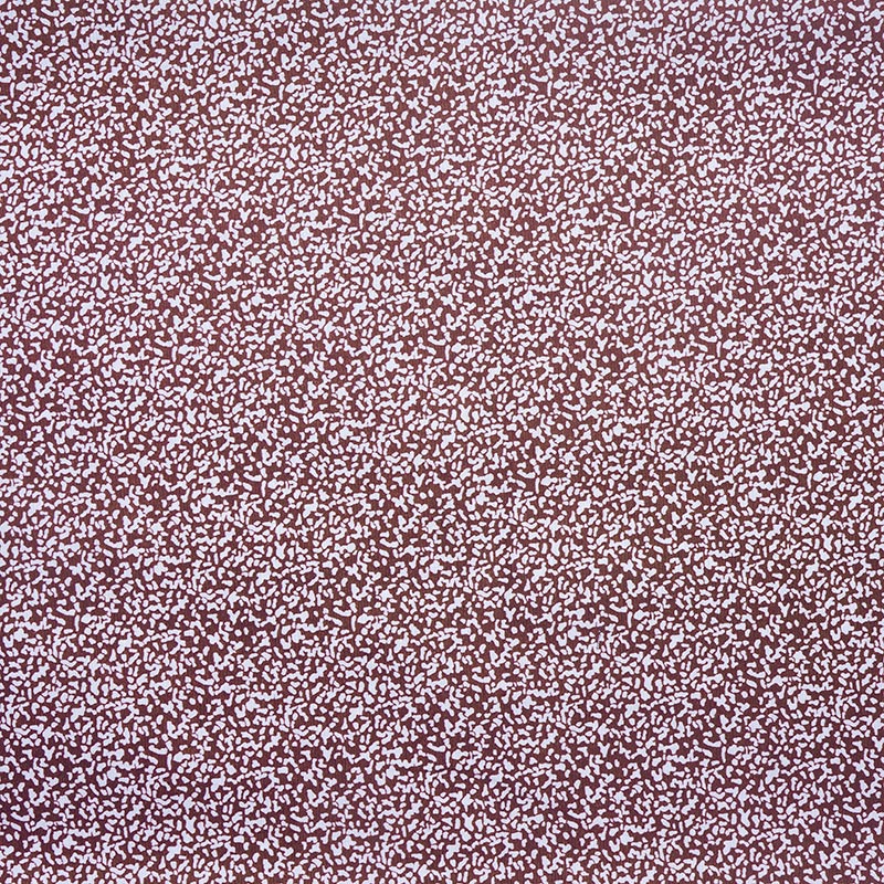 POLY TC PRINT